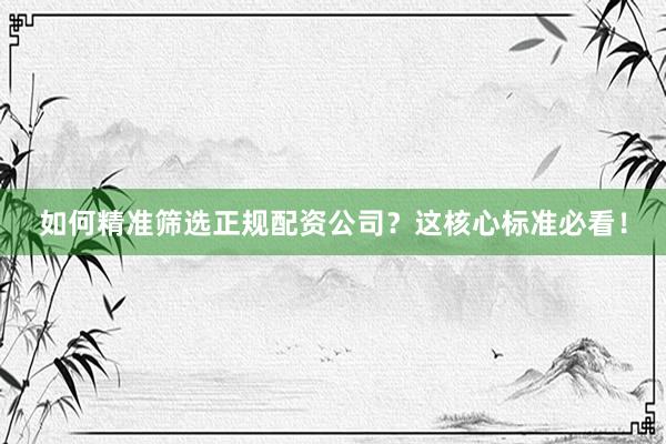 如何精准筛选正规配资公司？这核心标准必看！