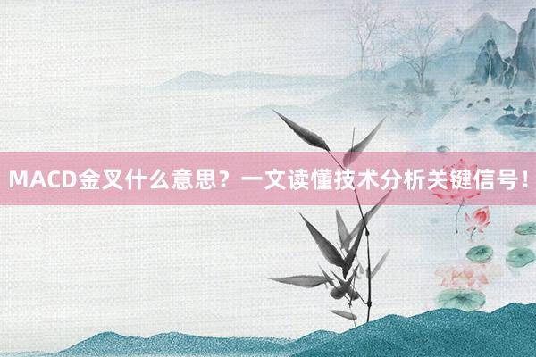 MACD金叉什么意思？一文读懂技术分析关键信号！