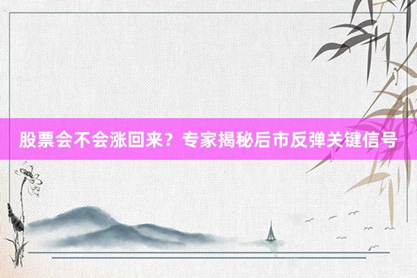 股票会不会涨回来？专家揭秘后市反弹关键信号