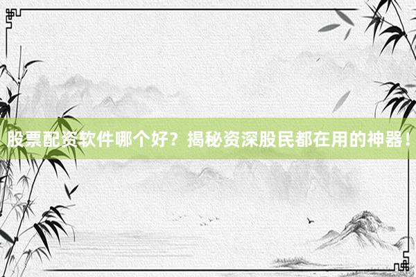 股票配资软件哪个好？揭秘资深股民都在用的神器！