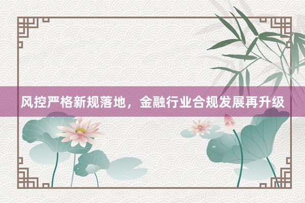风控严格新规落地，金融行业合规发展再升级